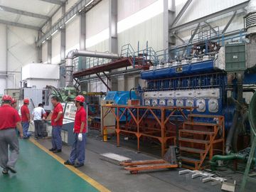 Genset পাওয়ার প্ল্যান্ট জল জুড়ান ডিজেল জেনারেটর 11KV 750Rpm