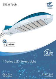110 LM / W IP65 উচ্চ ক্ষমতা LED রোড লাইট 100 ওয়াট সঙ্গে প্লাস্টিকের লেন্স